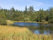 Swamps, forests and a lake in Belarus