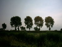 Polders of Bachten de Kupe, in West Flanders